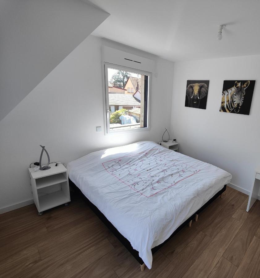 Appartement 48M², Strasbourg Centre A 15 Min En Train Fegersheim Exterior foto